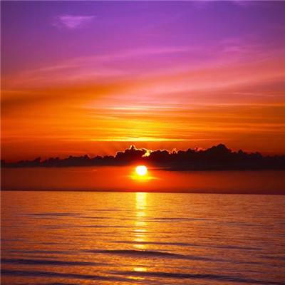 管家婆期期四肖四码中特管家